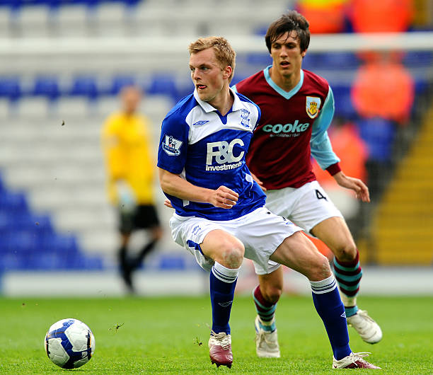 的领路人 的领路人