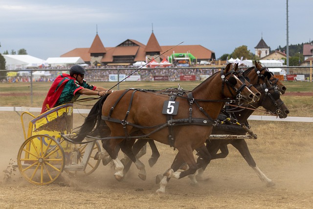棘手的挑战 棘手的挑战